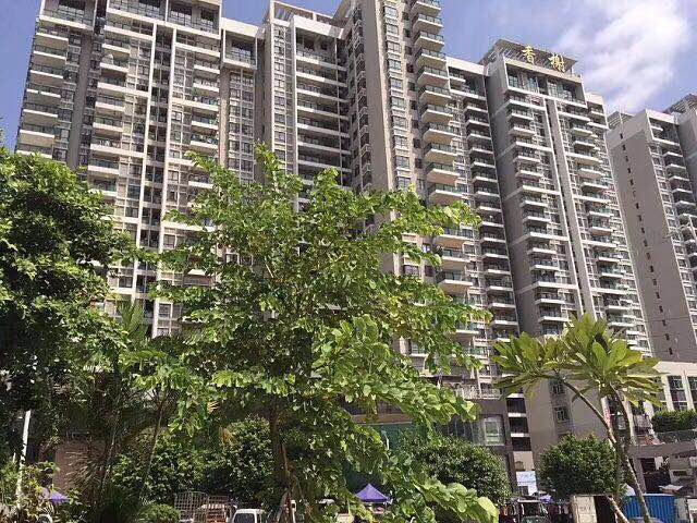 观澜村委统建楼【香榭花园】5栋花园16000一平可落户(图3) 观澜村委统建楼【香榭花园】5栋花园16000一平可落户(图3)