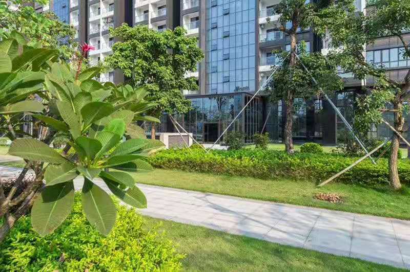 南山15分钟到达【山水悦城】5栋花园首付33万起(图3)