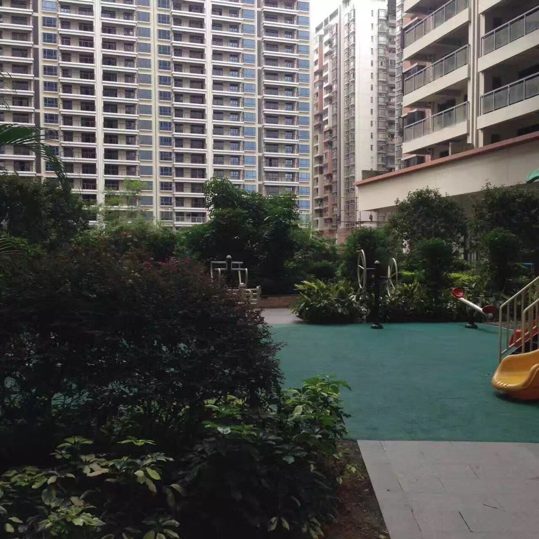 龙华清湖地铁口【鑫品花园】7栋花园可落户口(图6) 龙华清湖地铁口【鑫品花园】7栋花园可落户口(图6)