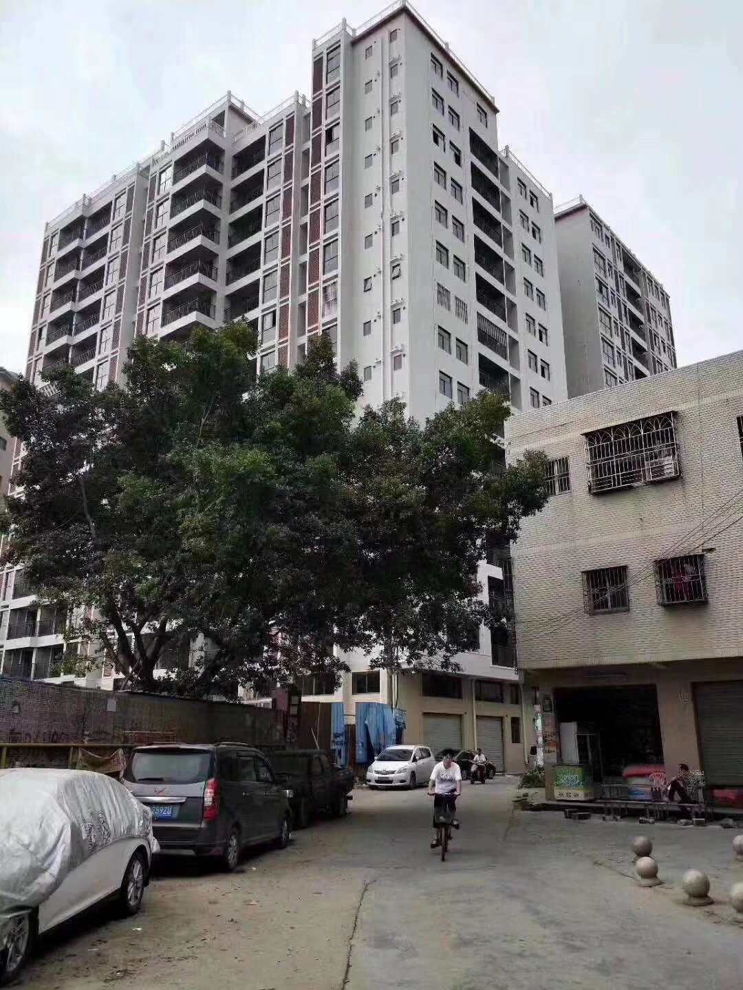 龙岗坪地交界【奥佳花园】新圩村委集资房(图3)