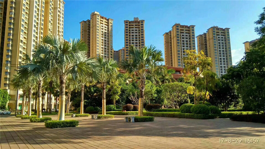 深圳北站18分钟「雅居乐花园」学位房送豪华装修(图4)