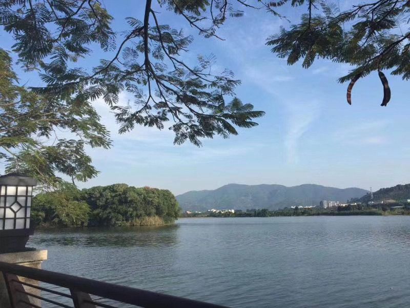 厚街红本商品房【观山领域】稀缺资源养生住家福地(图8)