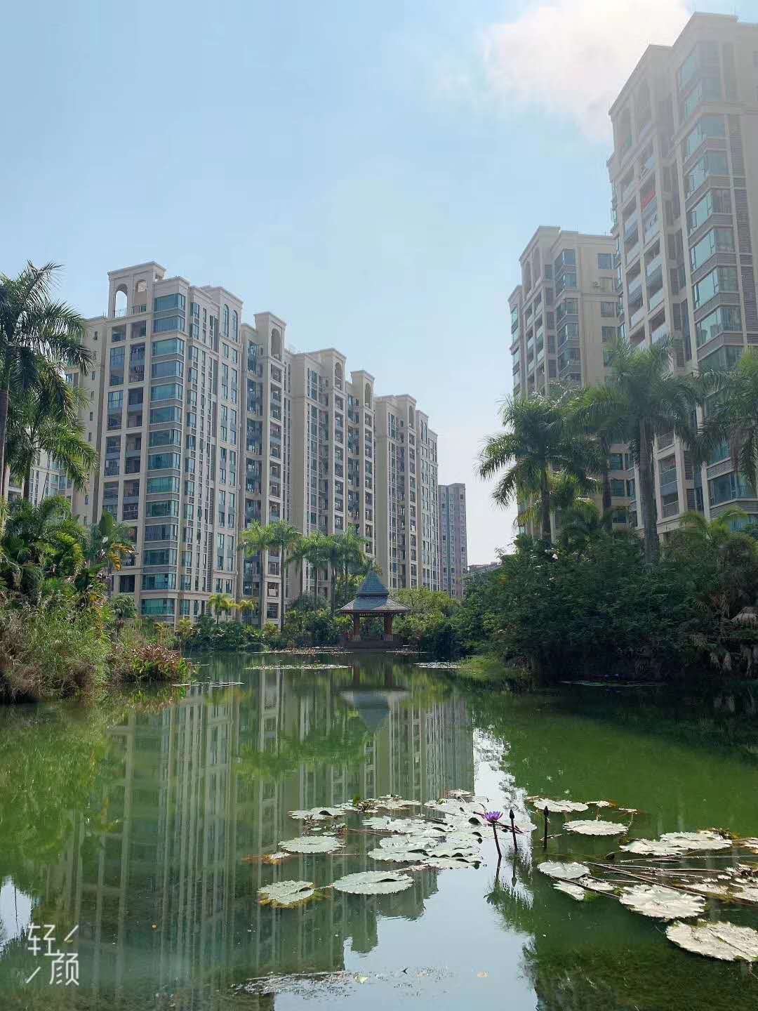 厚街红本商品房【观山领域】稀缺资源养生住家福地(图9)