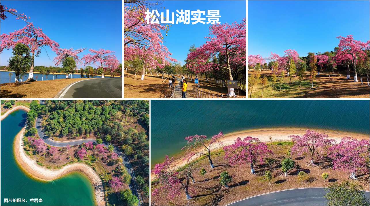 松山湖华为基地【华为一号】80栋花园8千一平带精装(图6)