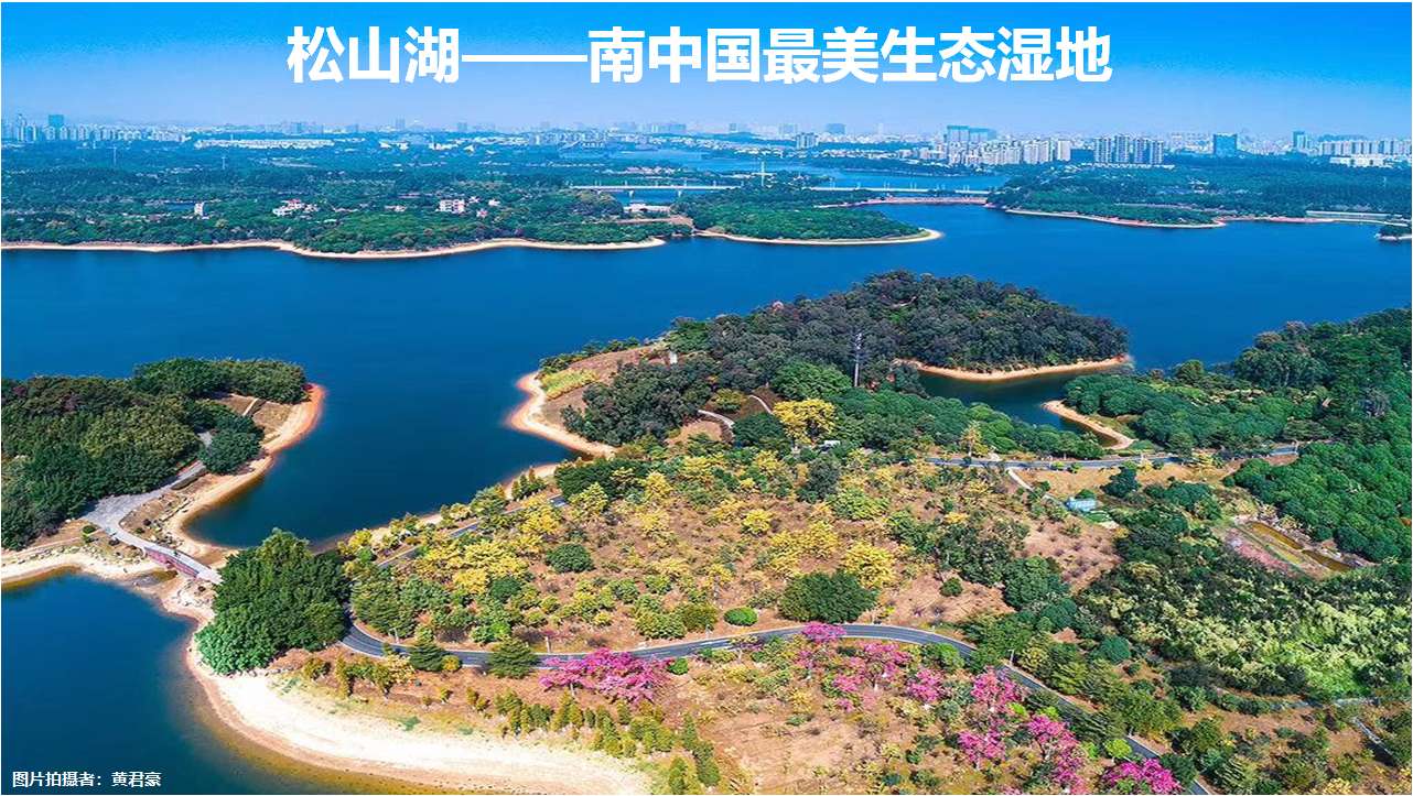 松山湖华为基地【华为一号】80栋花园8千一平带精装(图7)