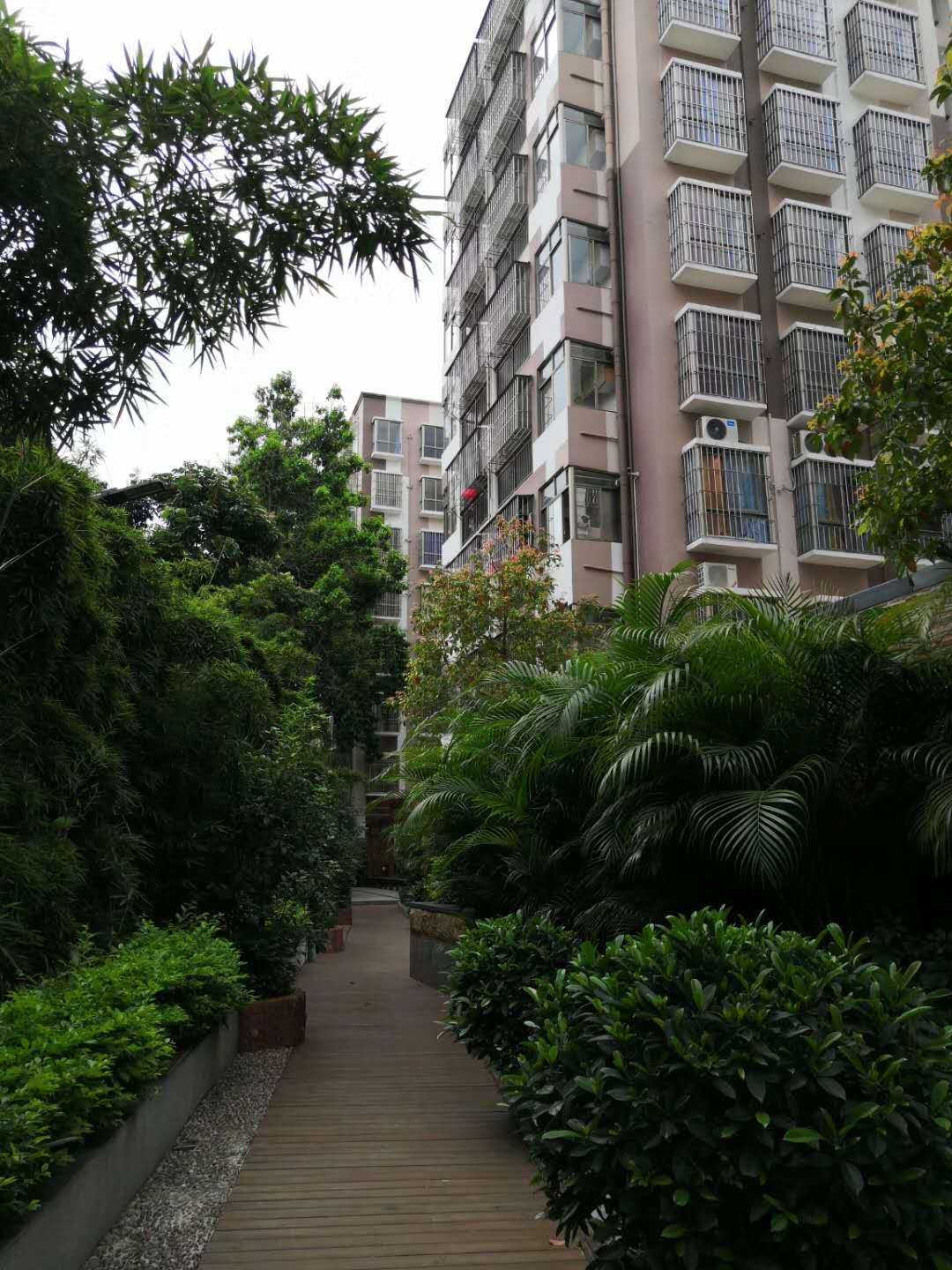 观澜村委统建楼【澜山壹号】8栋花园可落深圳户口(图3)