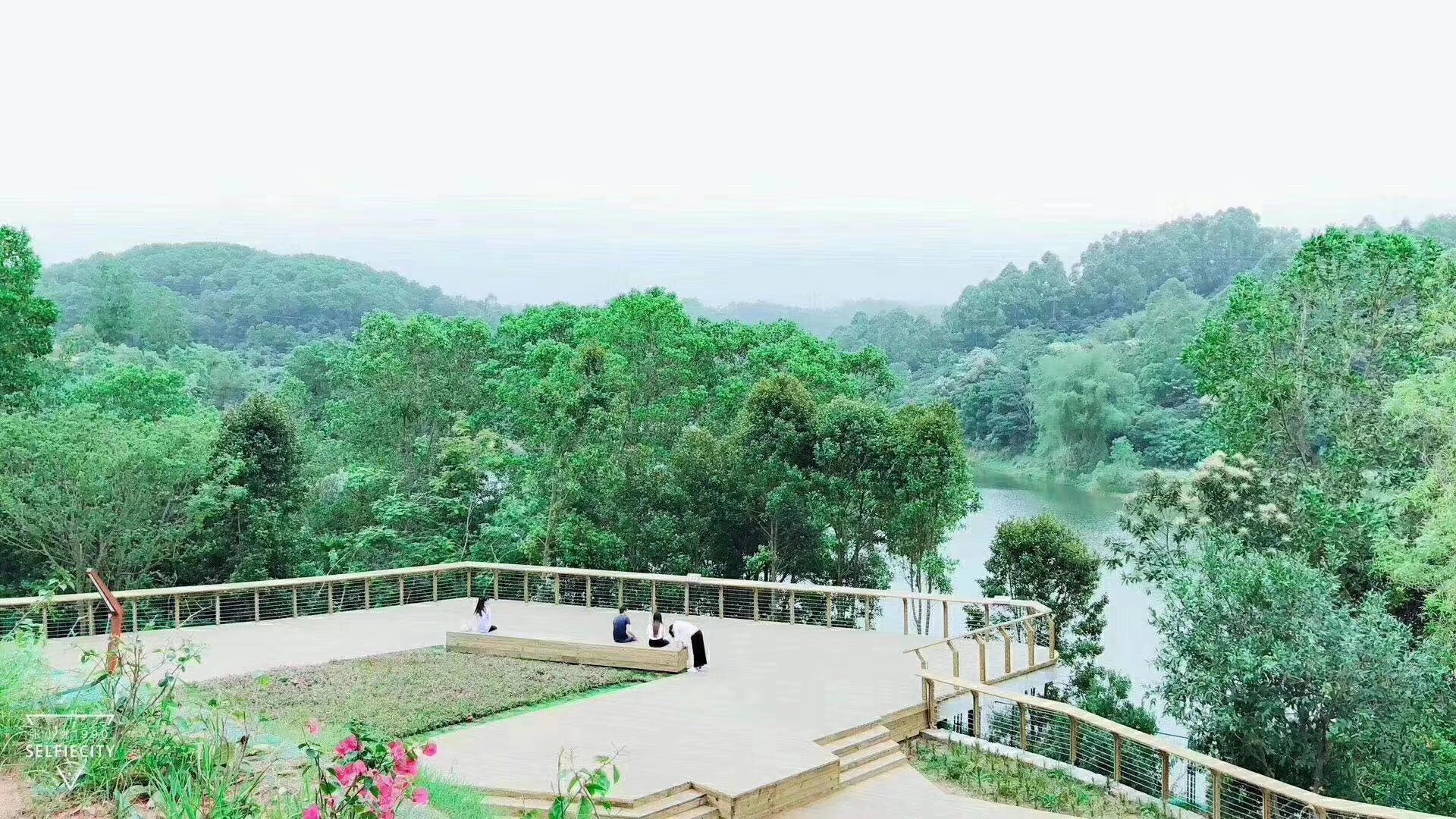观澜村委统建楼【澜山壹号】8栋花园可落深圳户口(图11)