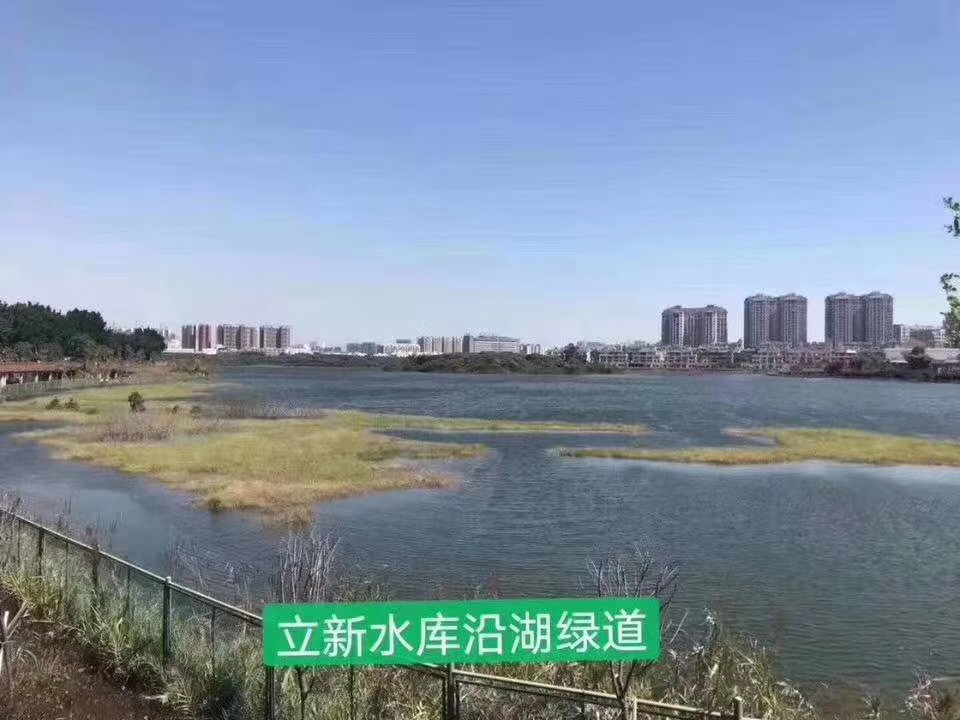 福永村委统建楼【凤凰花园】22栋4000户可落户(图3) 福永村委统建楼【凤凰花园】22栋4000户可落户(图3)