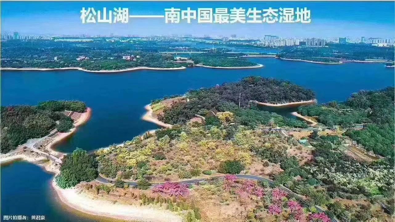 松山湖湖景房【松山湖壹号】月荷湖公园的房(图9)