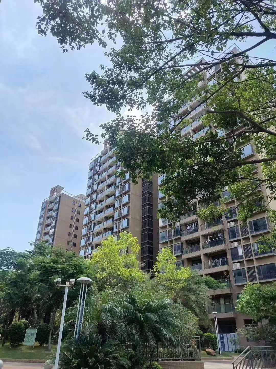 真正松山湖5栋花园【香榭松湖】价格14000起送豪华装修(图4) 真正松山湖5栋花园【香榭松湖】价格14000起送豪华装修(图4)