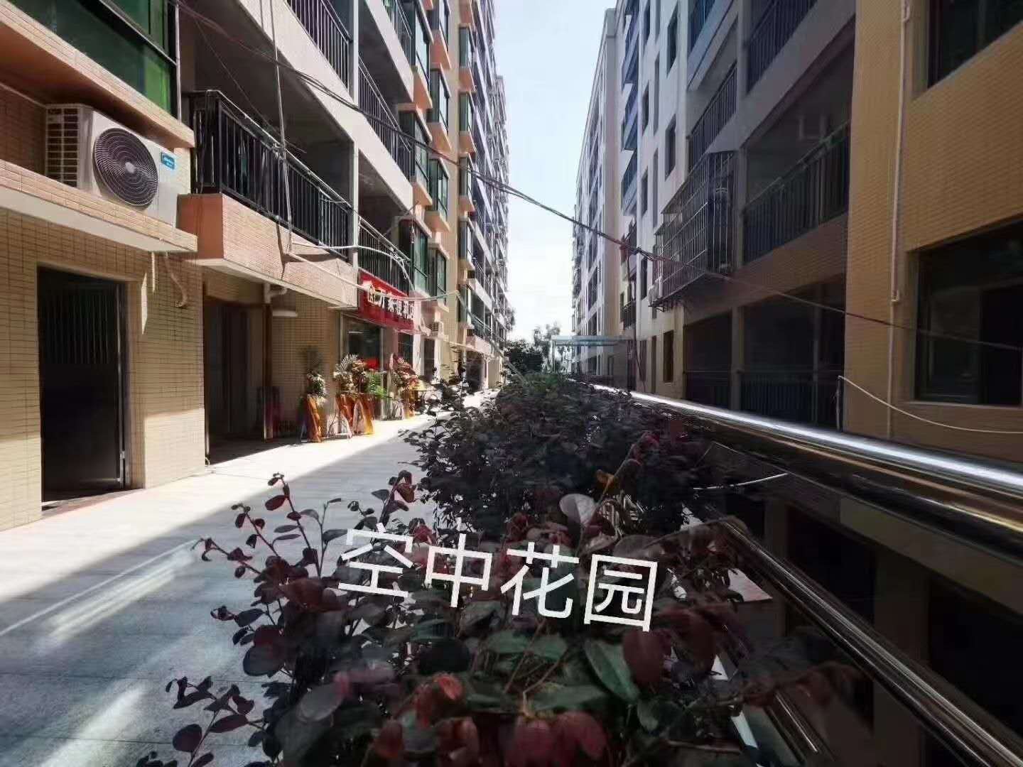 小香港之称樟木头【御景星城】4栋花园4288一平(图3)