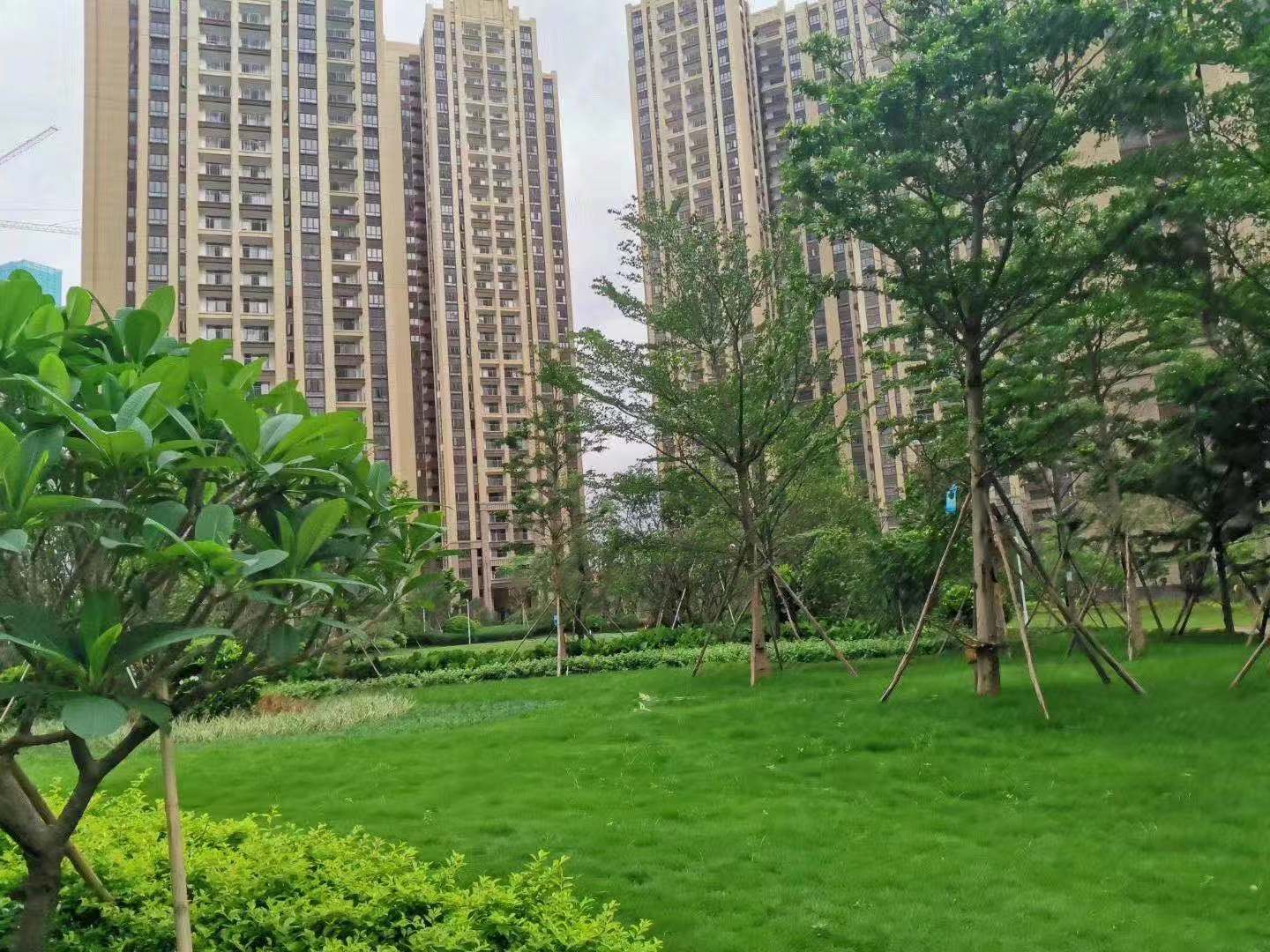 深圳14号线地铁口【卓越花园】精装三房首付20万起(图6) 深圳14号线地铁口【卓越花园】精装三房首付20万起(图6)