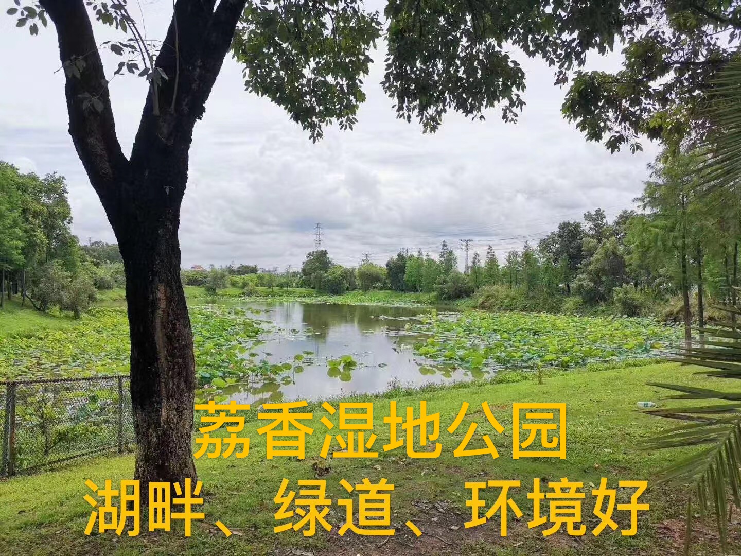地铁口200米4栋花园【风華天境】特惠全场85折(图5)