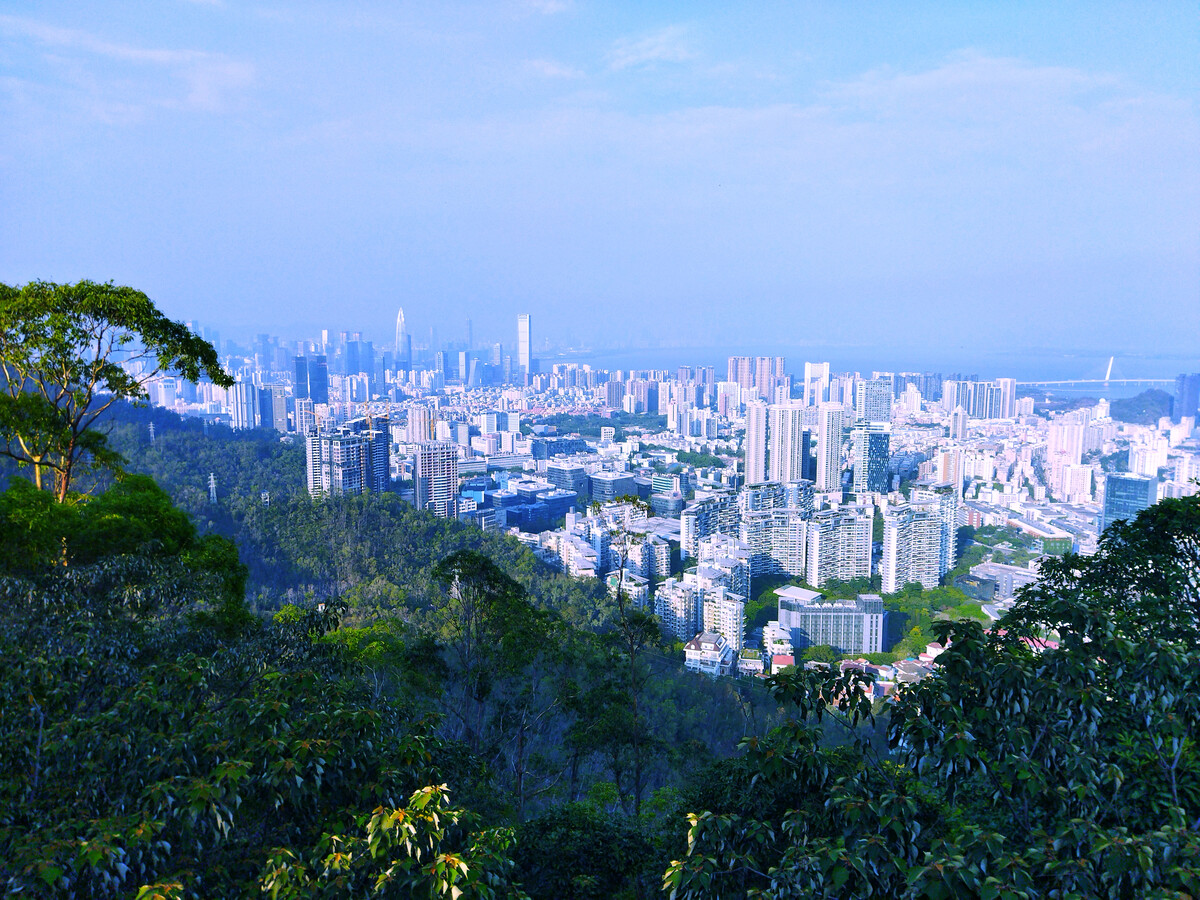 稀缺原始户型【荔馨苑】地铁南山站350米(图8) 稀缺原始户型【荔馨苑】地铁南山站350米(图8)