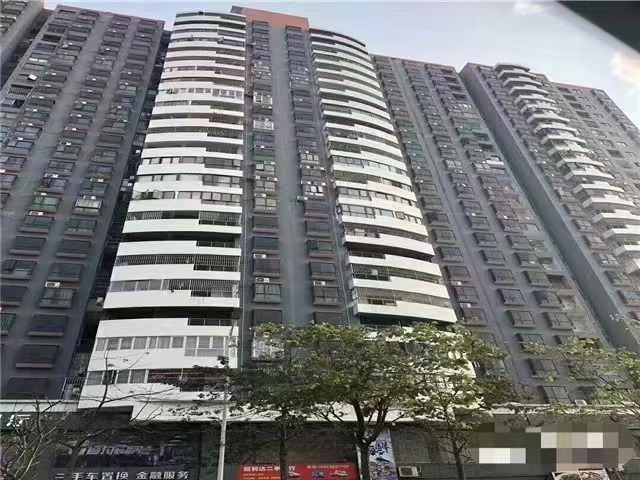 坂田村委统建楼【富豪花园】3栋花园发绿本可落户口(图2)