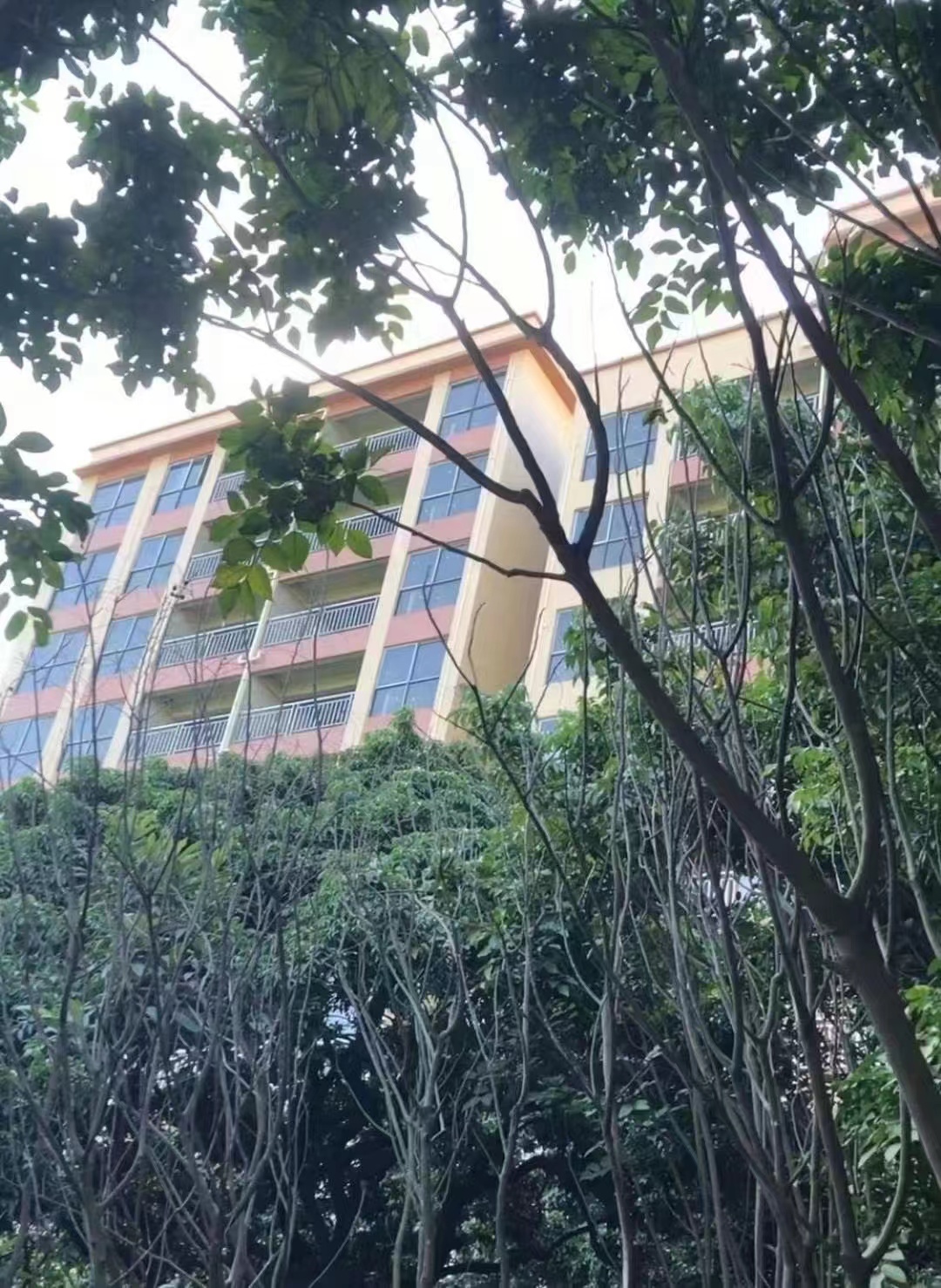 地铁大岭山北站【鹏程花园】4栋社区4800一平发绿本(图2)