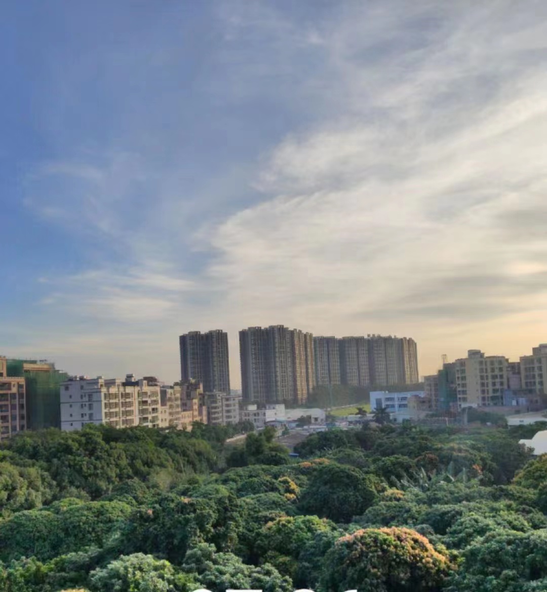 地铁大岭山北站【鹏程花园】4栋社区4800一平发绿本(图3)