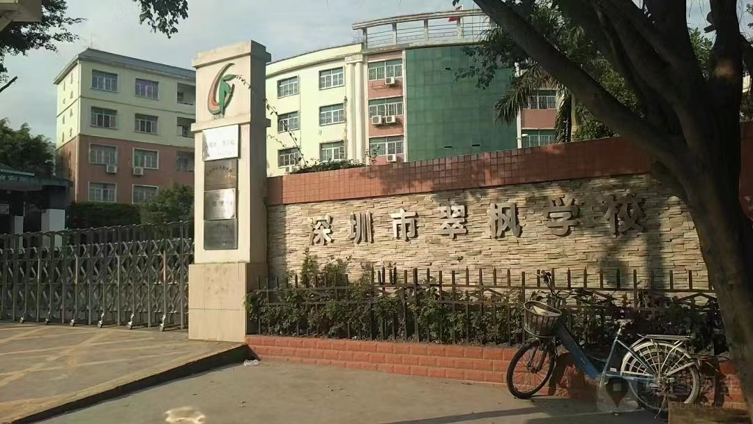 布吉翠枫豪园旁【翠峰学府】首付30万起(图3)