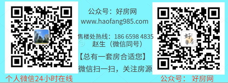 航母级地标中心36栋洋房【湾区壹号】深中通道马鞍岛(图1)