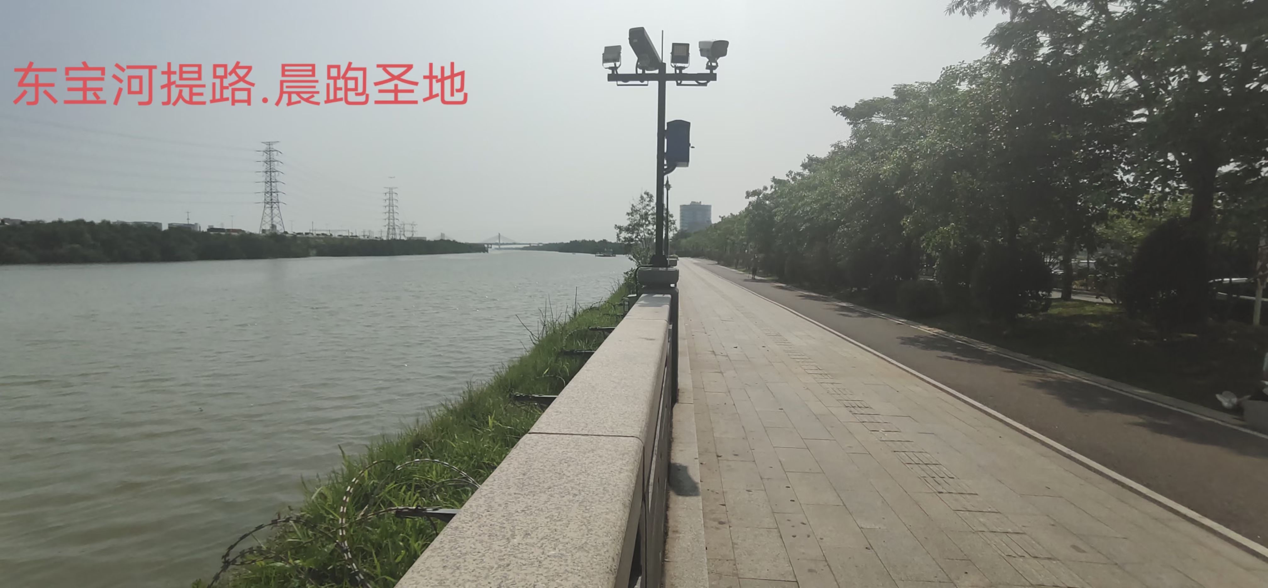 沙井一步之隔【东宝华庭】长安新民4880一平(图3)