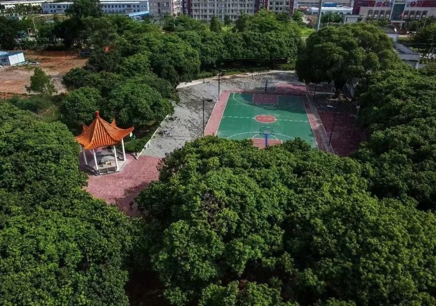 近深圳龙岗坪山【锦溪家园】大亚湾白菜价3200一平(图1)