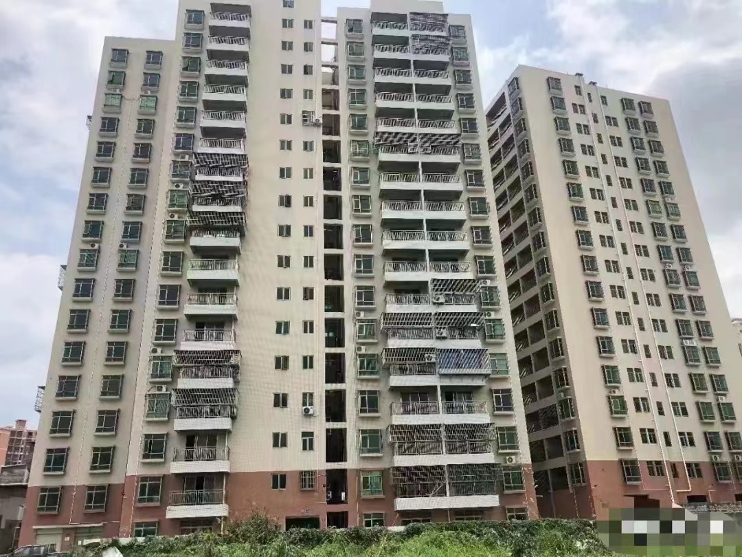 龙岗坪地旁新圩3栋【万兴华府】村委盖章9.9万一套起(图2)