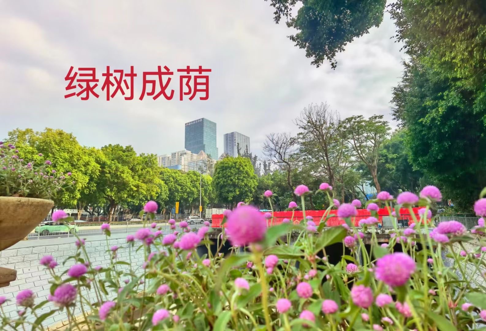 福田新洲村【福田花园】 两房首付49万起(图3)