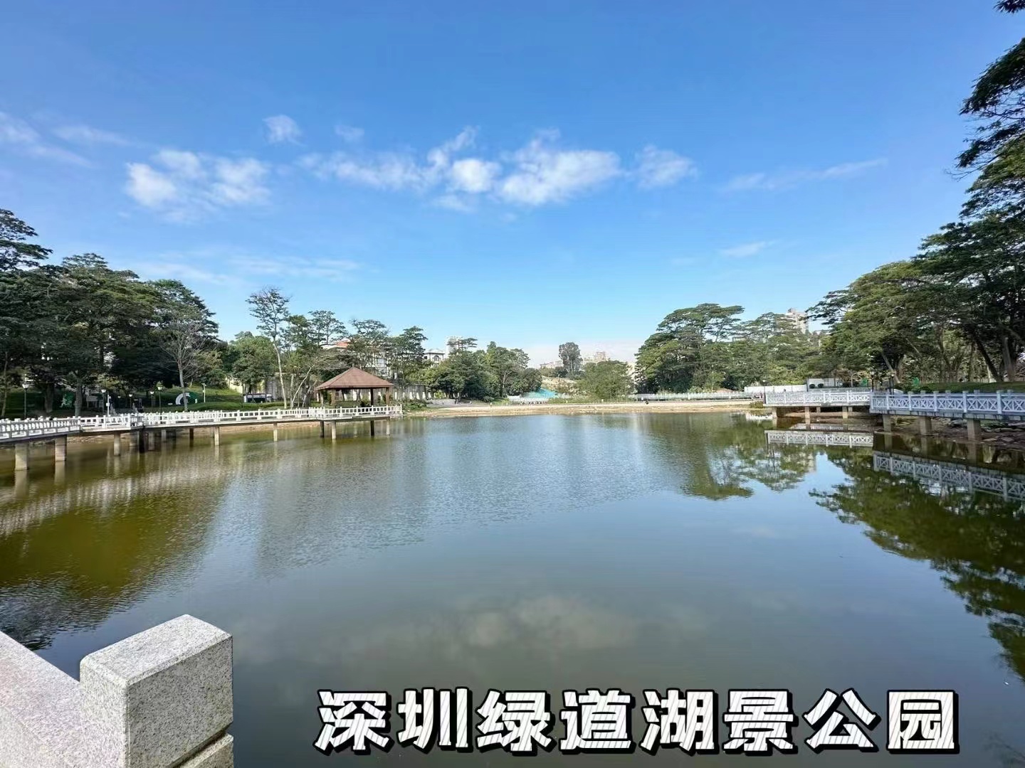 要钱不要房【龙华首府】龙华精装两房总价39.8万一套(图2) 要钱不要房【龙华首府】龙华精装两房总价39.8万一套(图2)