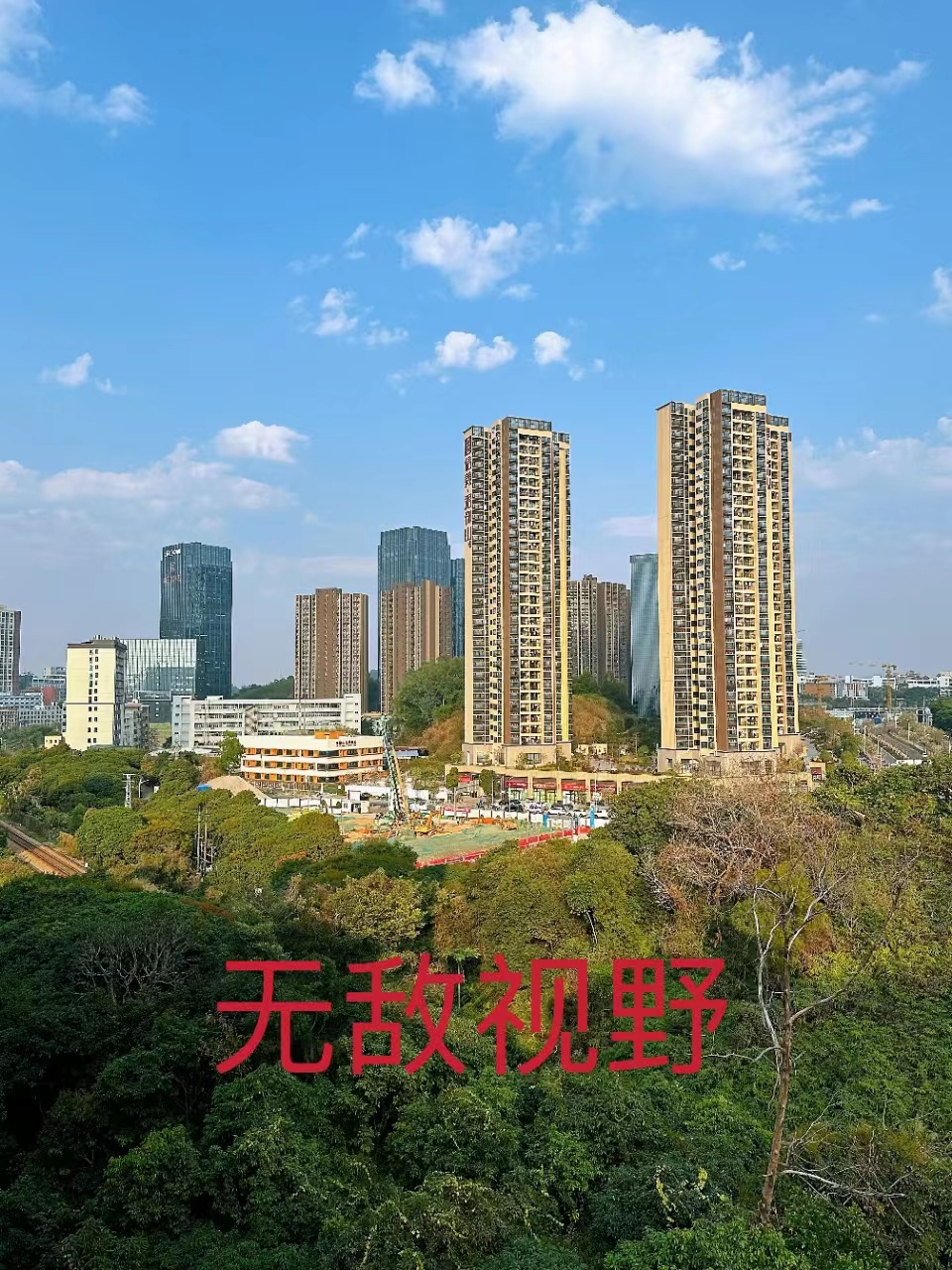十号线坂田北站【坂田雅苑】精装单间首付9万一套起(图3)