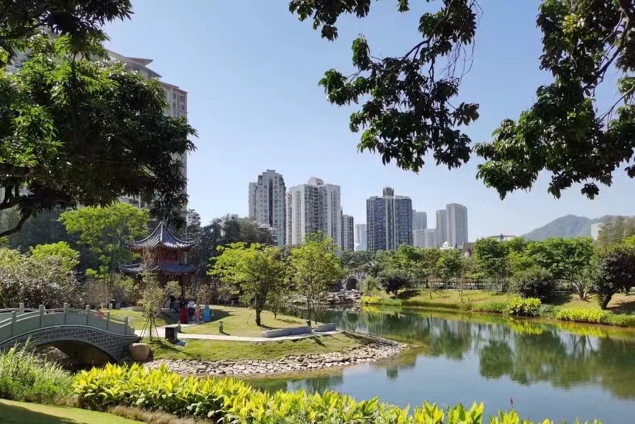 首付21万起【四海城】买南山蛇口花园房(图3)