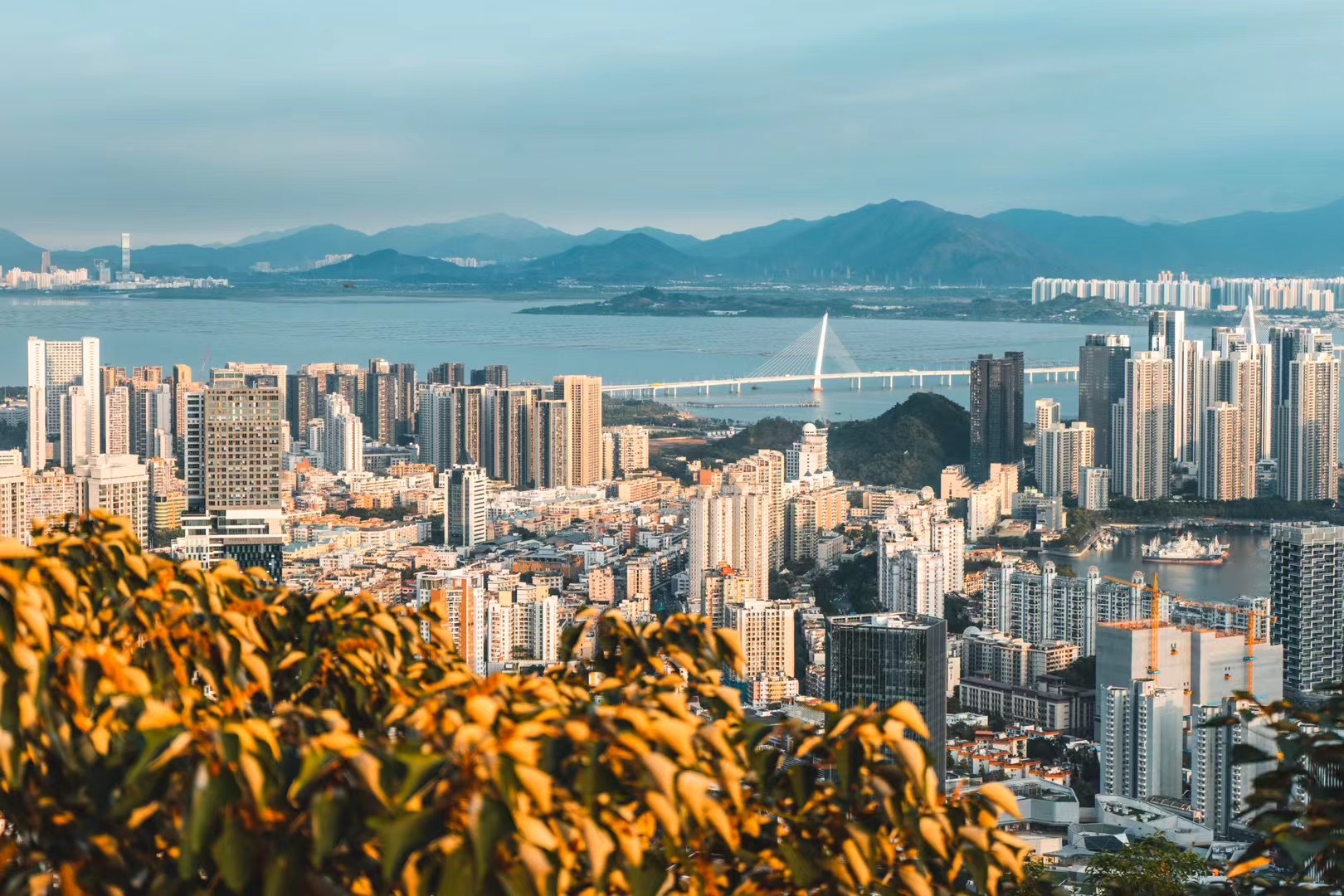 首付21万起【四海城】买南山蛇口花园房(图4)
