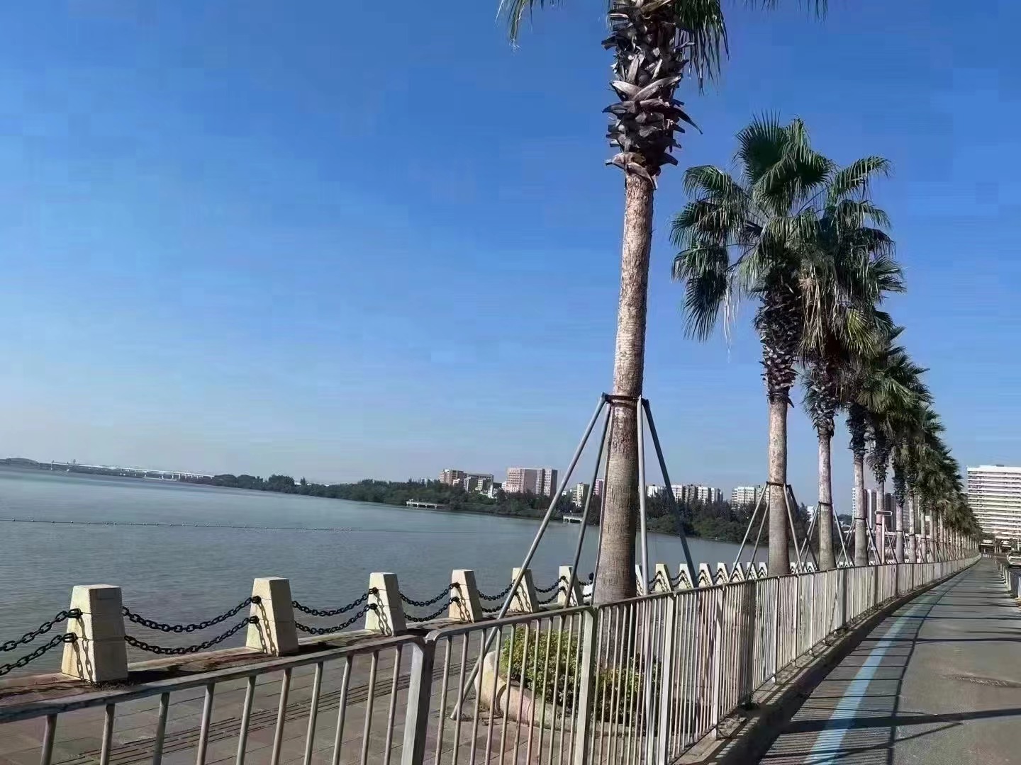 固戍两房首付24万起【红树林家园】西湾红树林公园(图1)