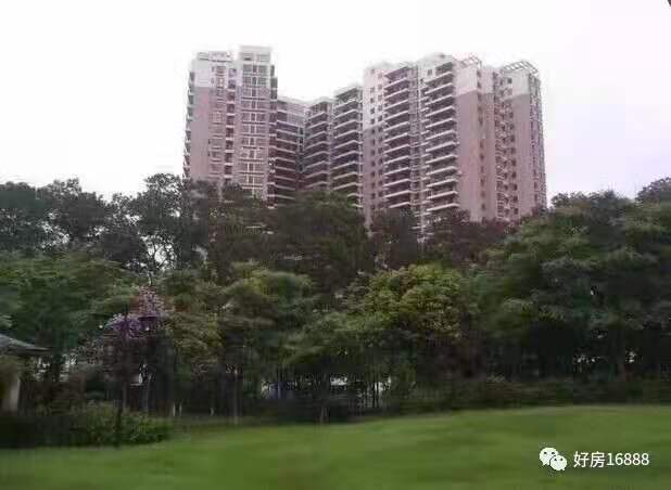 石岩湖湿地公园【星耀花园】3栋花园两房首付39万起(图3)