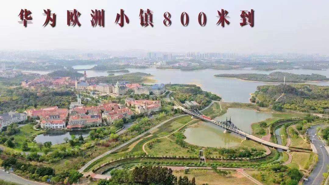 松山湖华为做邻居【柏林天境】大朗犀牛陂6栋花园(图4)