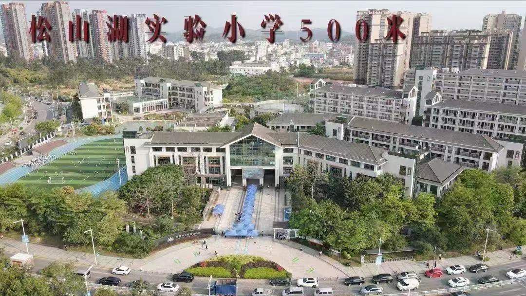松山湖华为做邻居【柏林天境】大朗犀牛陂6栋花园(图3)