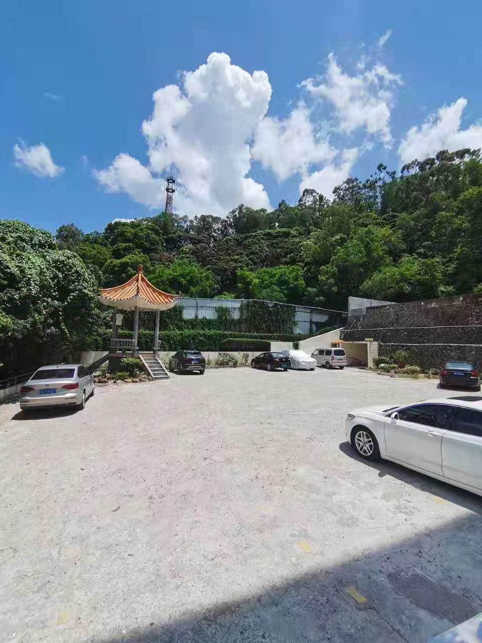 凤岗金凤凰【盛世豪苑】2栋社区8200一平带精装(图3)